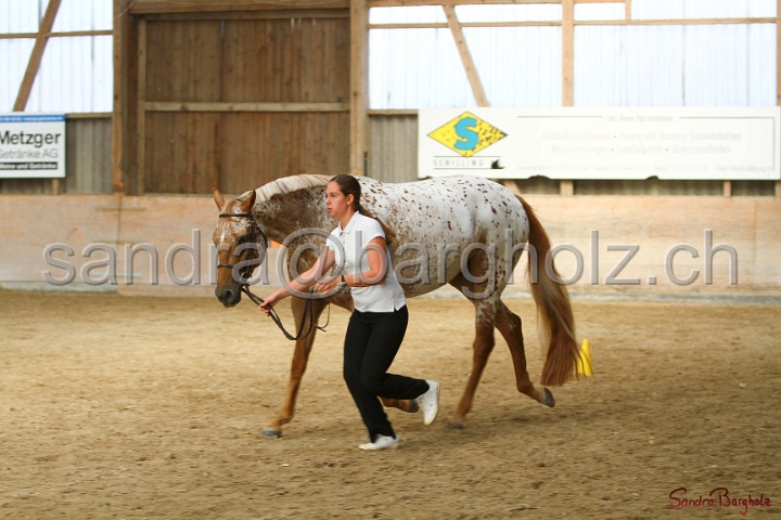 24-ApHC HIH_016.jpg